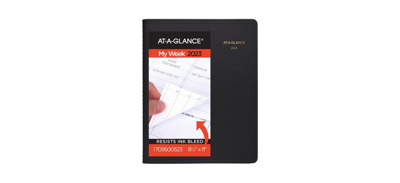 Best At-a-Glance Professional 2023 Planner