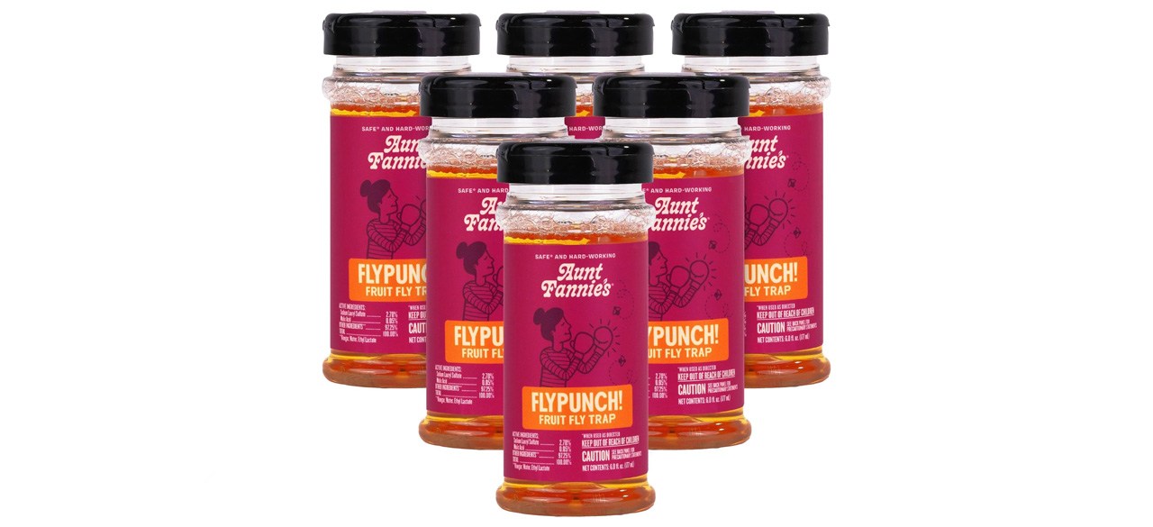 Aunt Fannie’s FlyPunch
