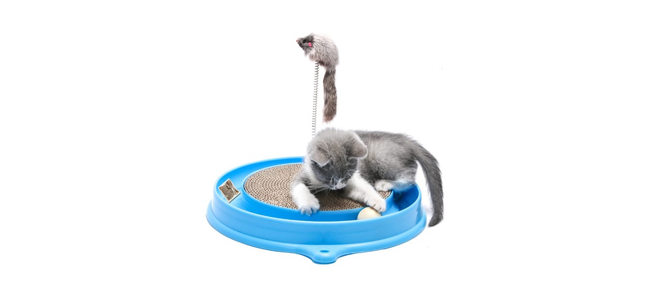 best Auoon Cat Scratcher With Interactive Mouse