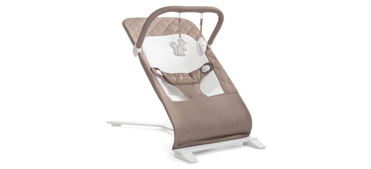 Baby Delight Alpine Deluxe Portable Baby Bouncer