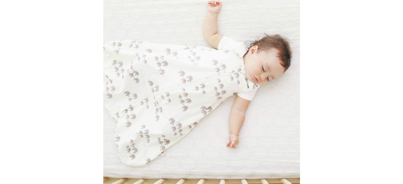 Best Ergobaby Sleeping Bag On The Move