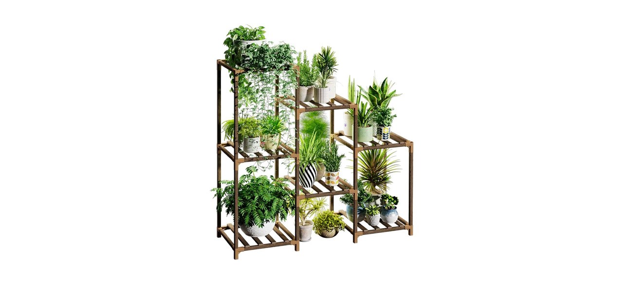 Indoor Plant Stand on white background