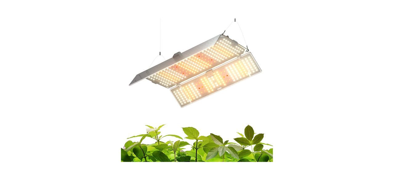 Best Barrina BU 2000 LED Full-Spectrum Grow Light