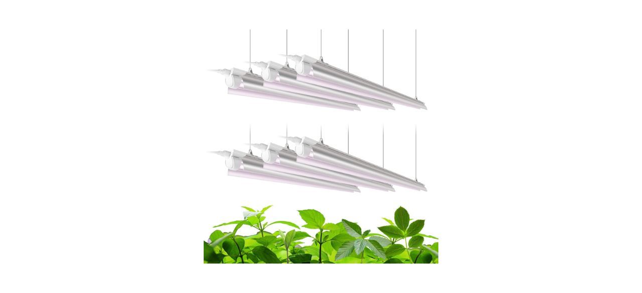 Best Barrina Six Pack of Full-Spectrum LED Grow Light Strips 