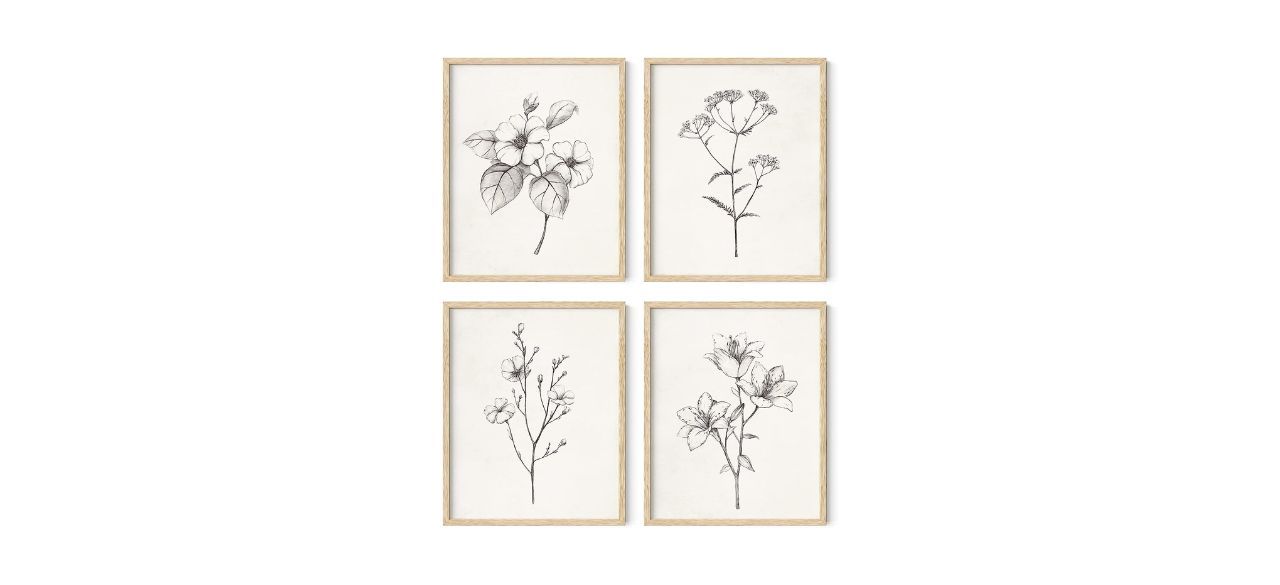 a series of four framed pencil drawings depicting flowers