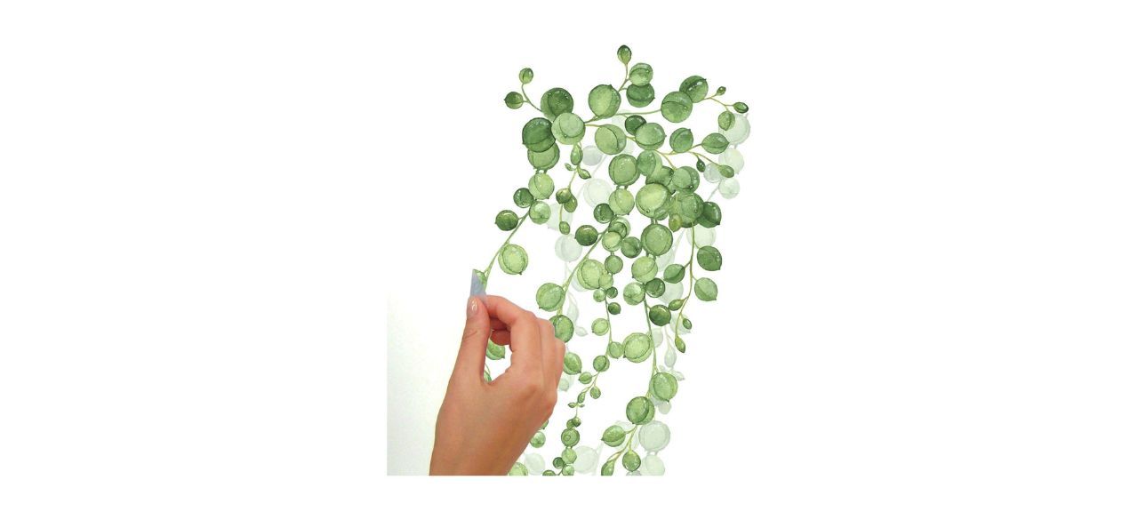 peel and stick wall decals with vines on them