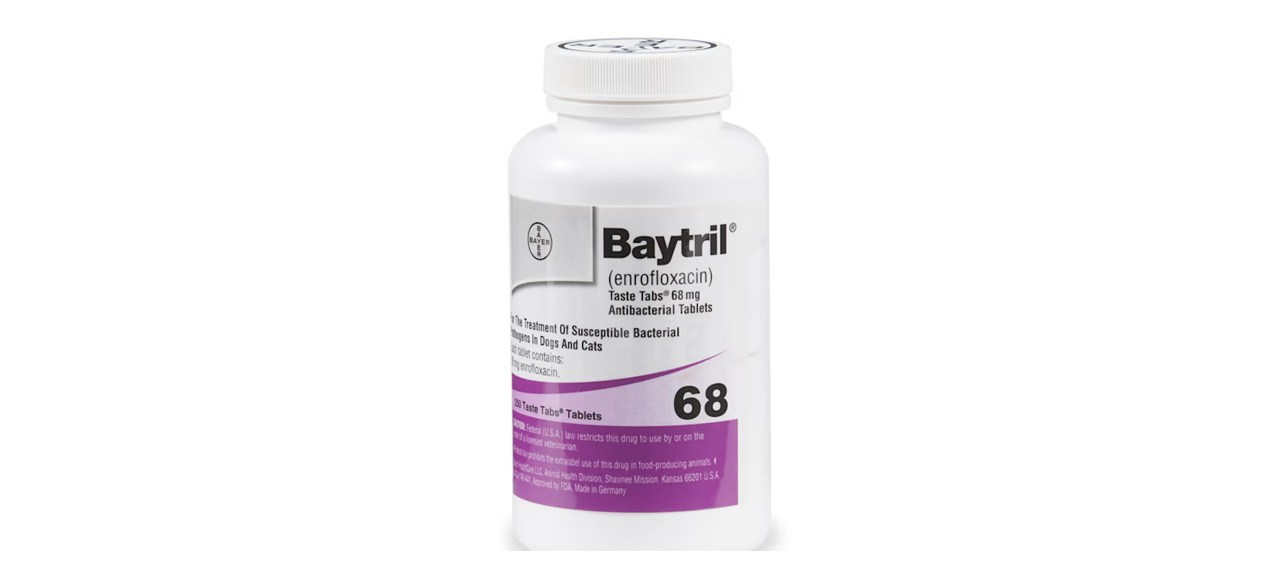 Best Baytril (Enrofloxacin) Tablets for Dogs and Cats
