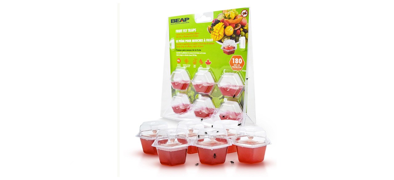 BEAPCO Prefilled Fruit Fly Traps