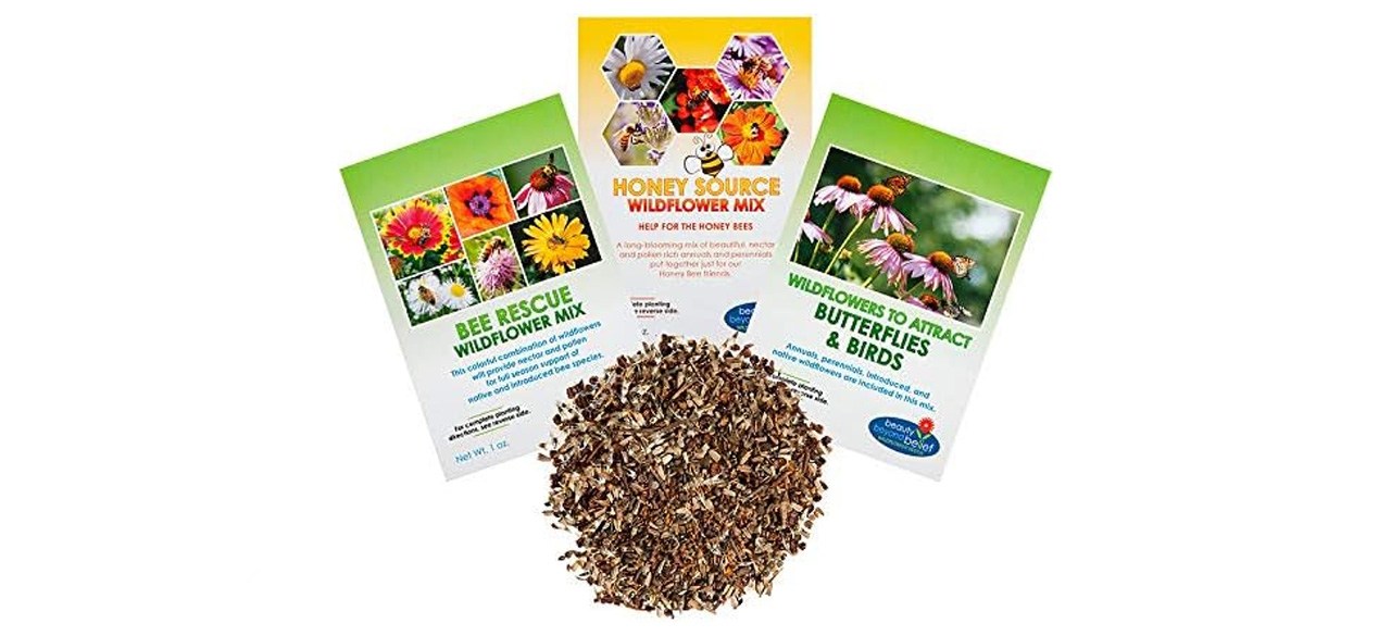Beauty outside faith wild flower seeds