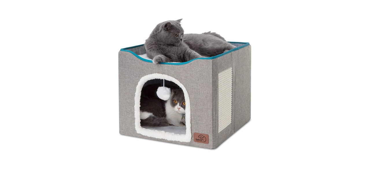 best Bedsure Cat Bed for Indoor Cats