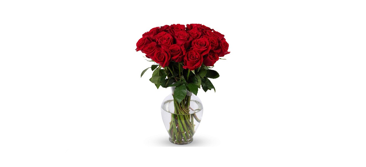 best Benchmark Bouquets 2 Dozen Red Roses, With Vase
