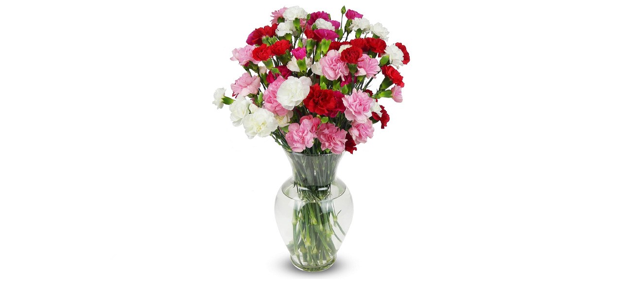 Benchmark Bouquets 20-Stem Mini Carnations with Vase