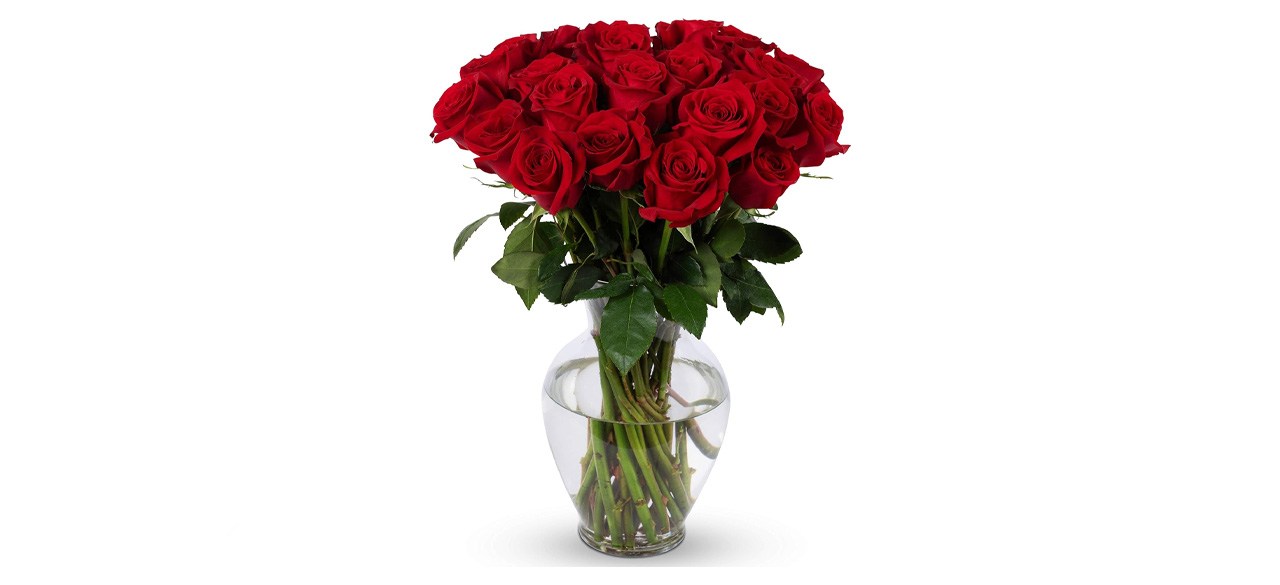 Benchmark Bouquets Two Dozen Red Roses with Vase