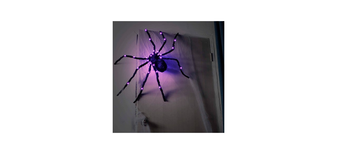 Best Bet Sizonjoy Giant Light-Up Spider