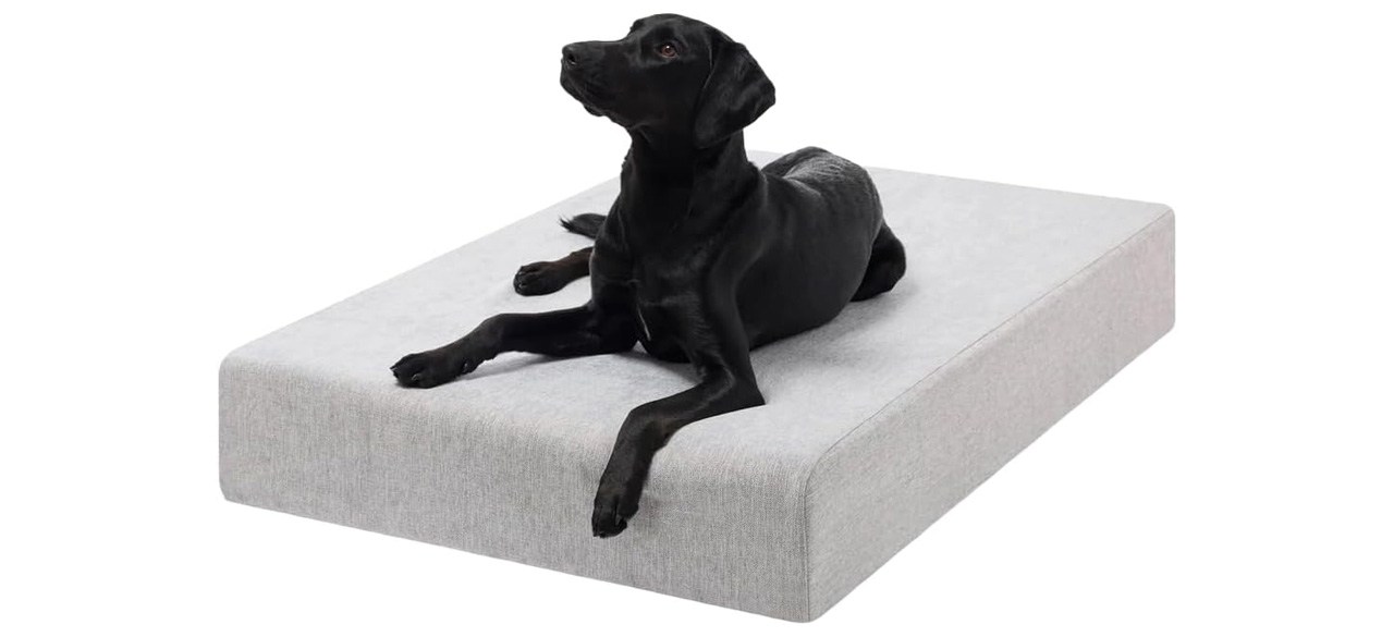 Big Barker 7-Inch Memory Foam Mattress