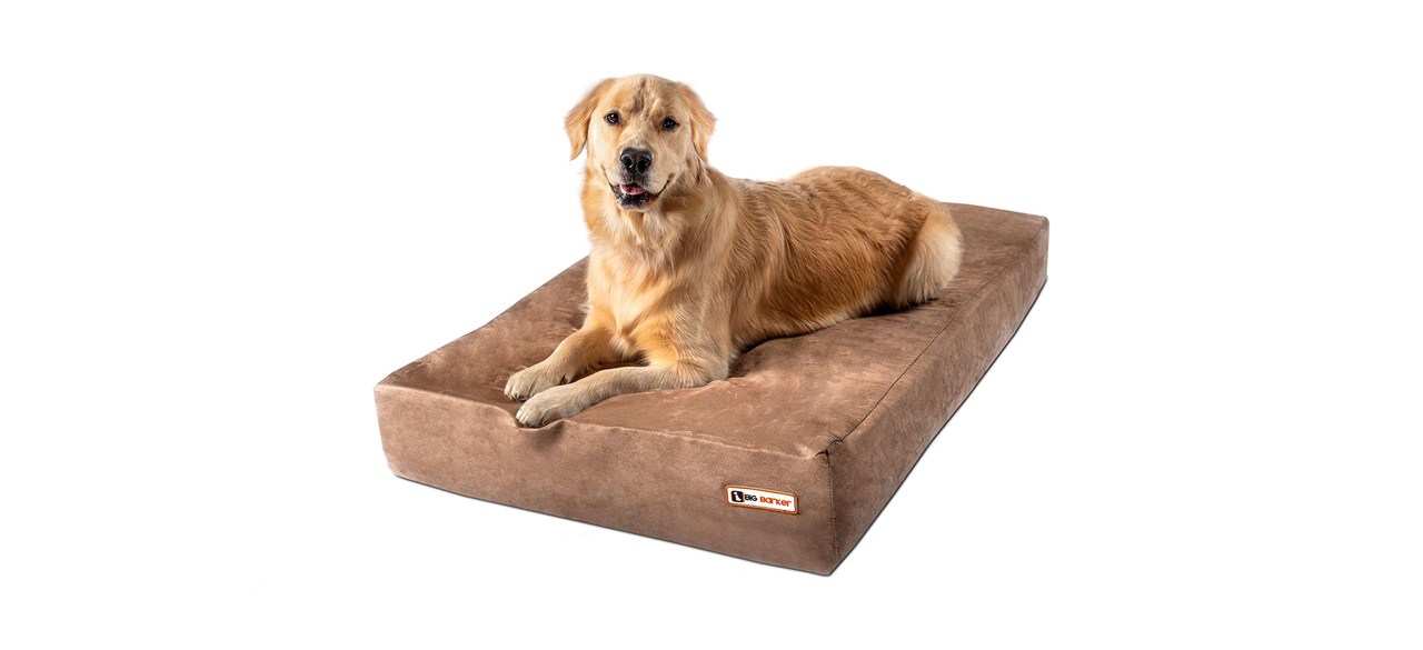 best Big Barker Sleek Orthopedic Dog Bed