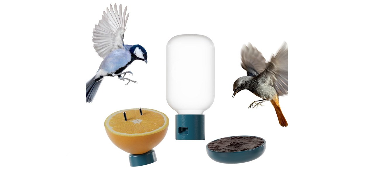 Bird Buddy's 3-in-1 Nutrition Set