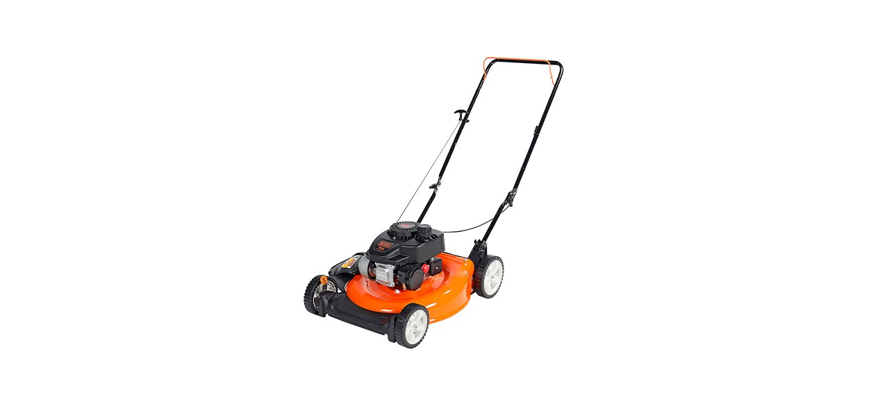 Best Black and Decker 21-Inch 2-in-1 Gas-Powered Push Mower