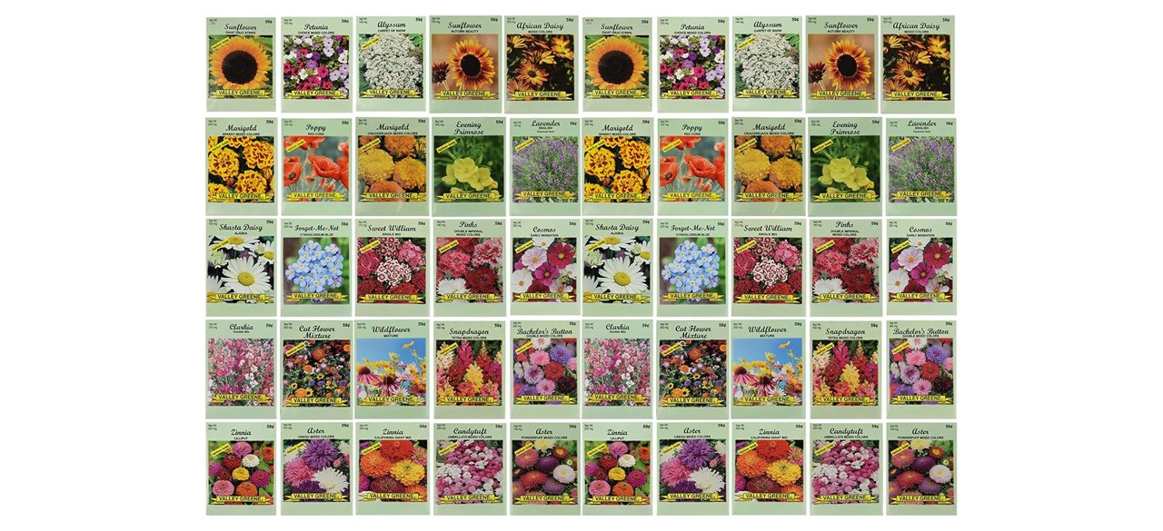 Grow a beautiful garden with the best flower seeds  Chicago Tribune