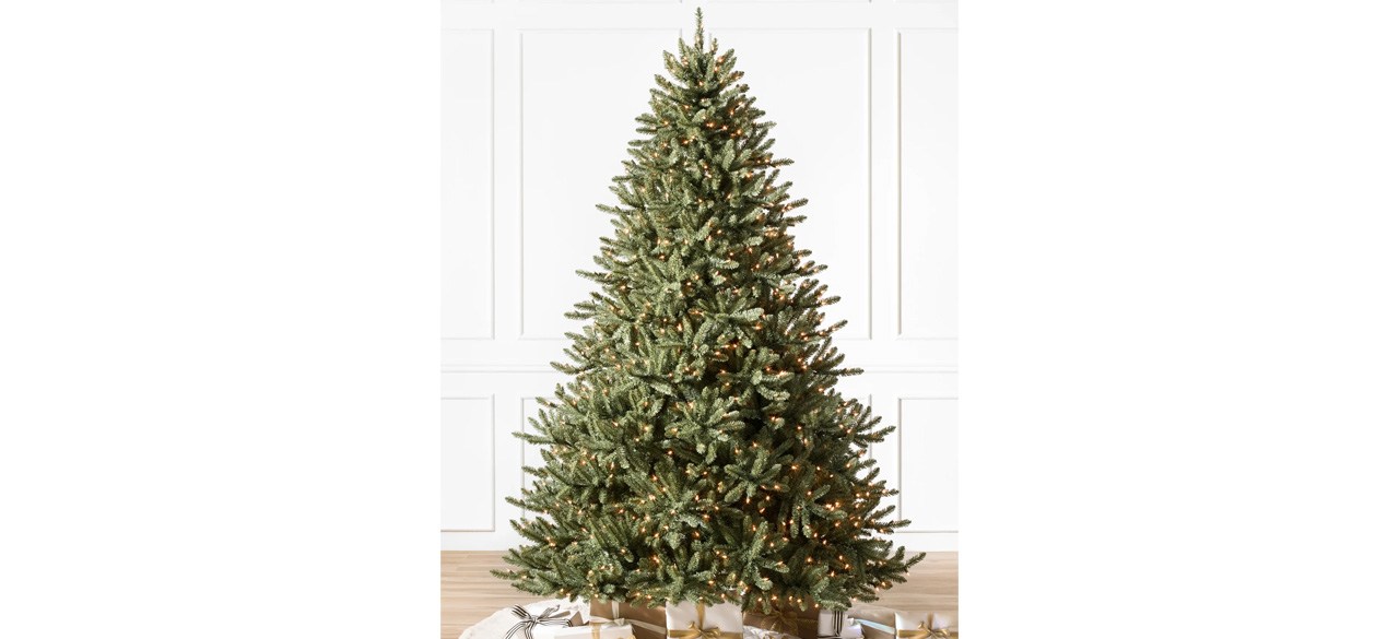 Best Classic Blue Spruce