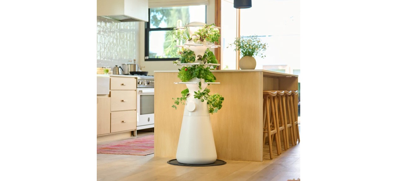 Lettuce Grow The Farmstand Nook next to kitchen island