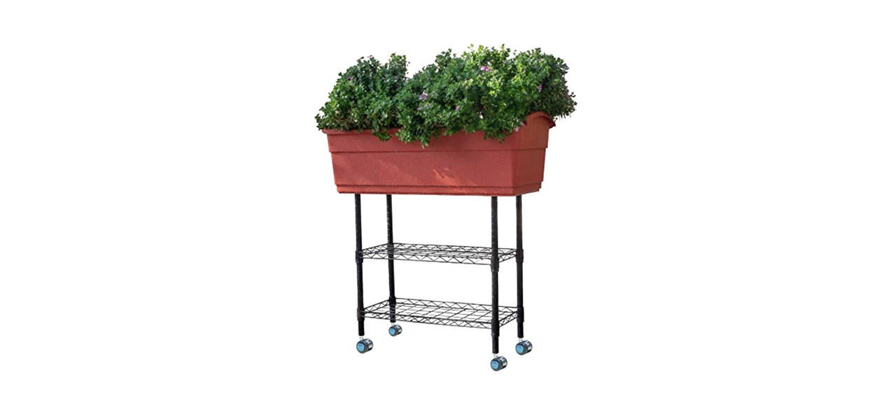 Watex Elevated Mobile Planter on white background with some plants in it