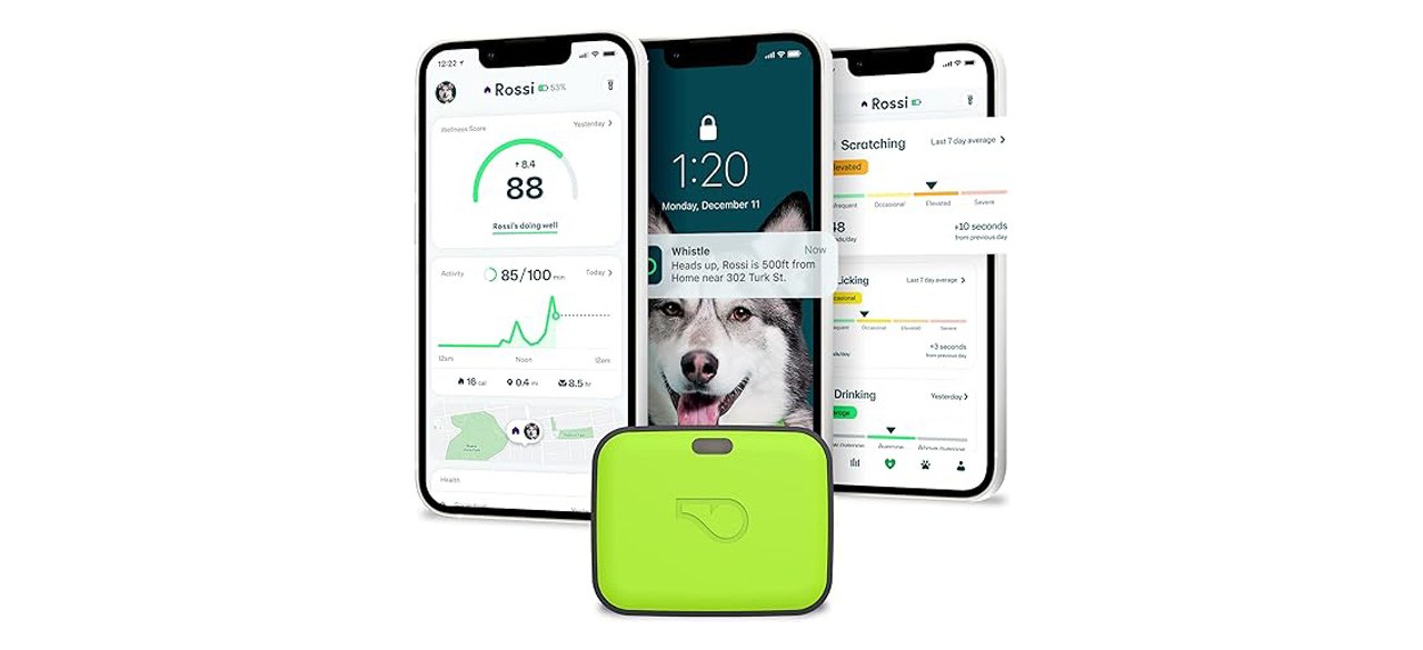 Whistle Go Explore GPS Tracker, green, shown next to 3 smartphones opened up to different parts of the related app