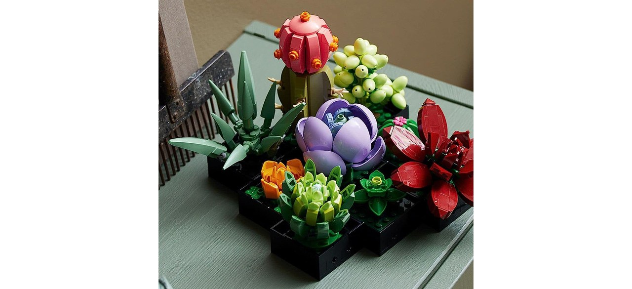 Lego Icons Succulents Set