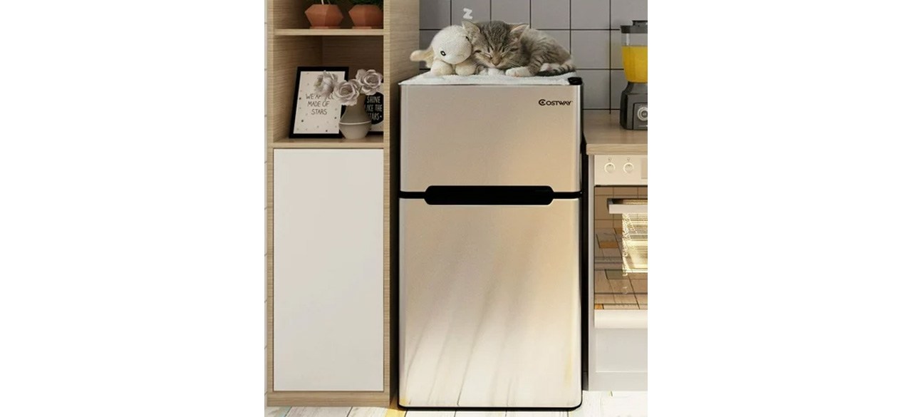 Costway Refrigerator Small Freezer Cooler Fridge