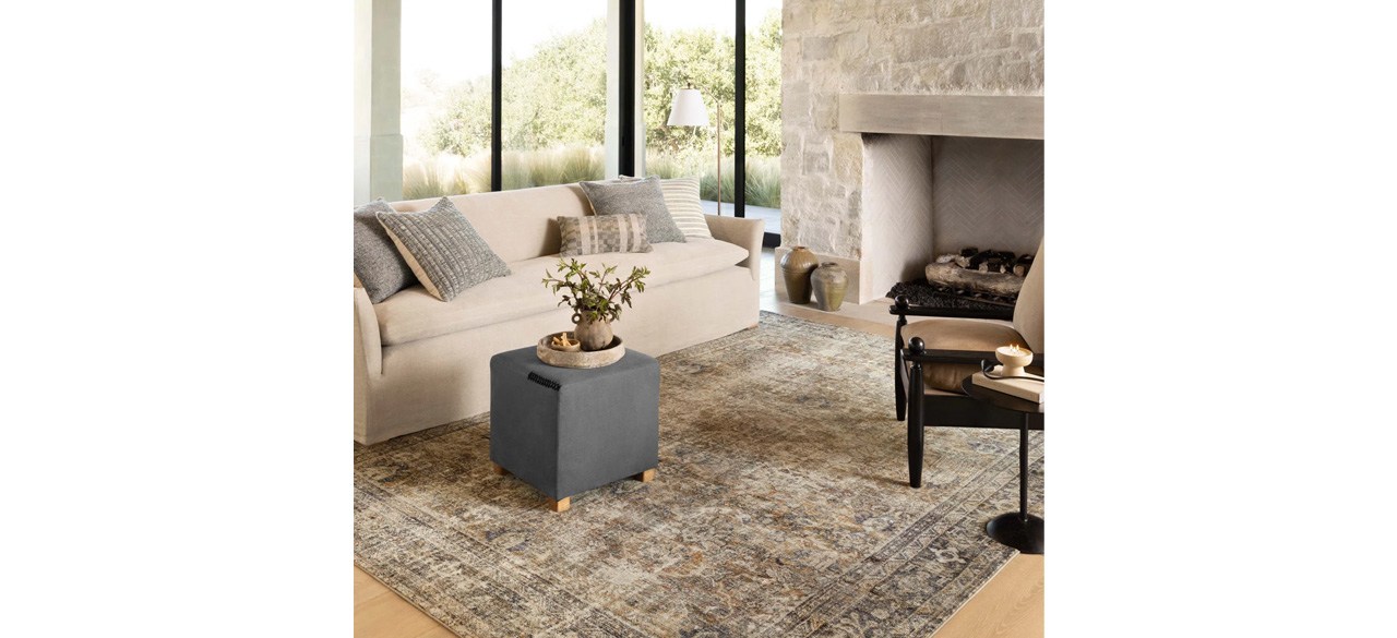 https://cdn.bestreviews.com/images/v4desktop/image-full-page-cb/best-black-friday-wayfair-deals-amber-lewis-x-loloi-morgan-area-rug.jpg