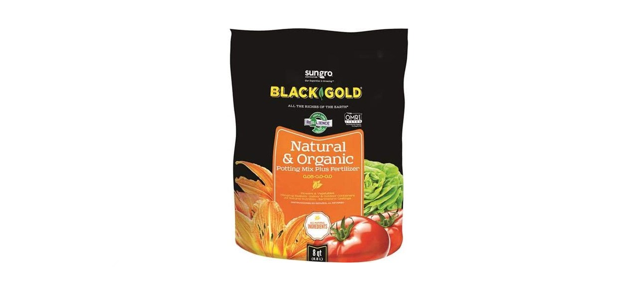 best Black Gold Natural & Organic Potting Soil