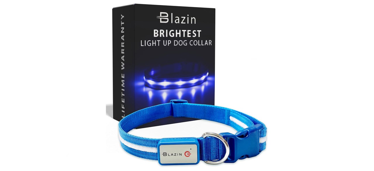 Blazin LED Light Up Dog Collar