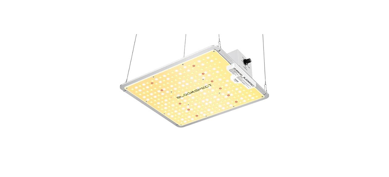 Best Bloomspect LED Grow Light for Indoor Plants