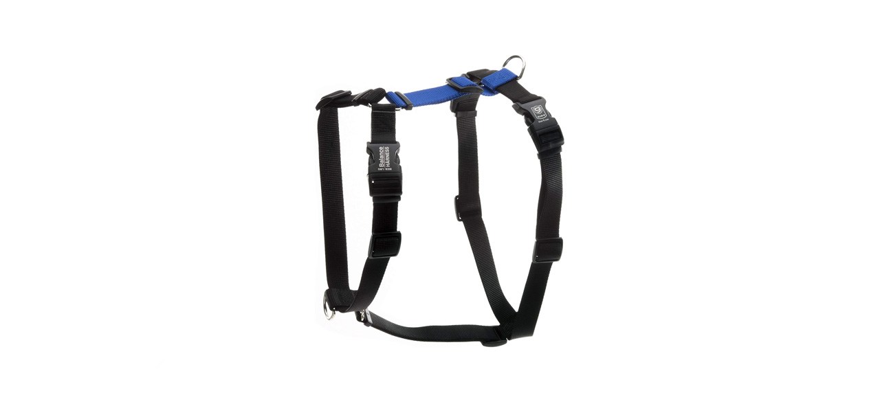 best Blue-9 Buckle-Neck Balance Harness