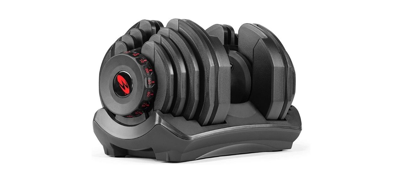 Bowflex SelectTech 553 Dumbbells