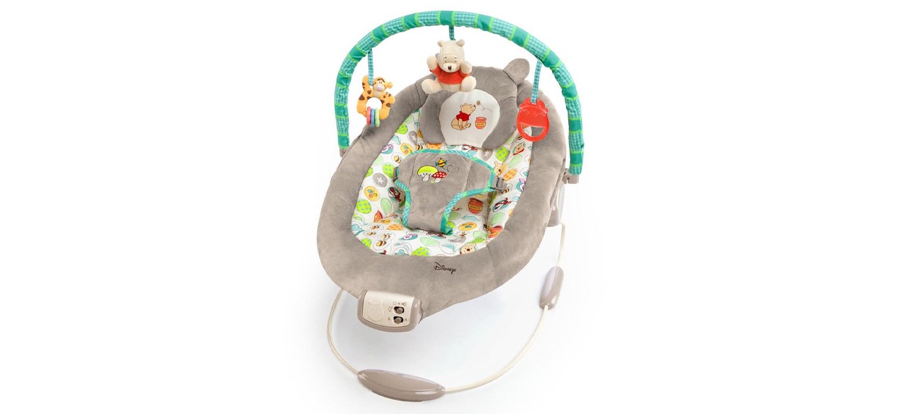 Bright Starts Baby Bouncer