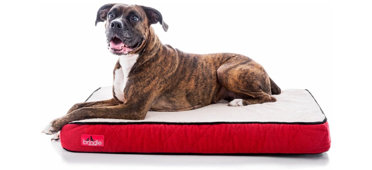 Brindle Waterproof Designer Memory Foam Pet Bed