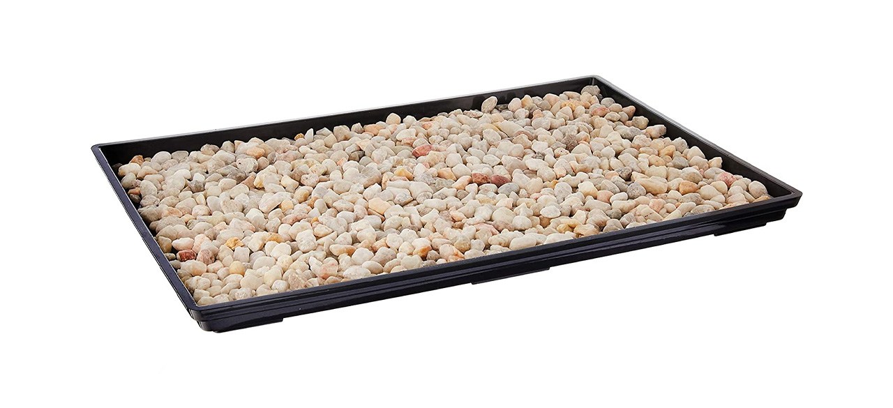 best Brussel's Humidity Tray with Decorative Rocks