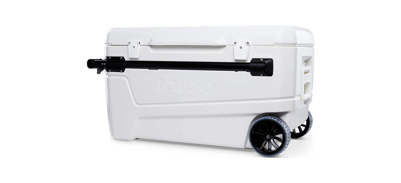 Best Igloo Sportsman Heavy-Duty Hard-Sided Cooler