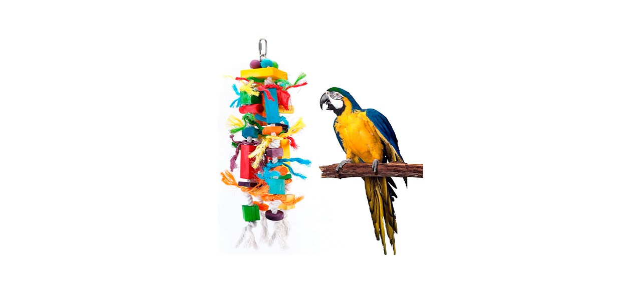 Best Canada Bird Toys Parrot Chew Toy