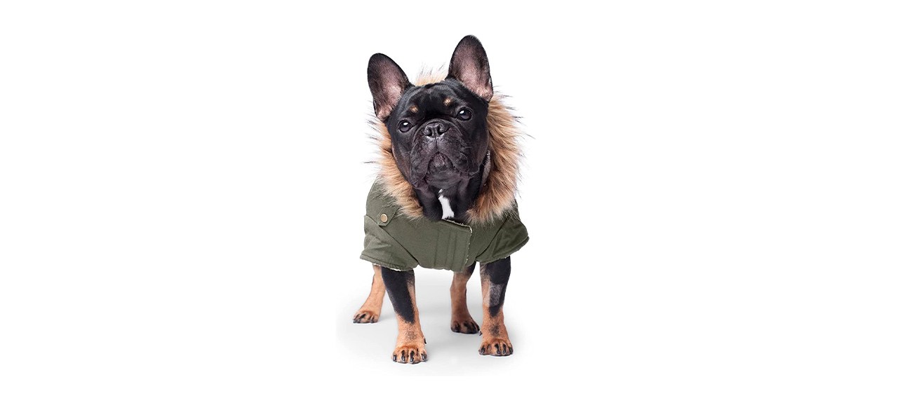 Best Canada Pooch Winter Dog Coat