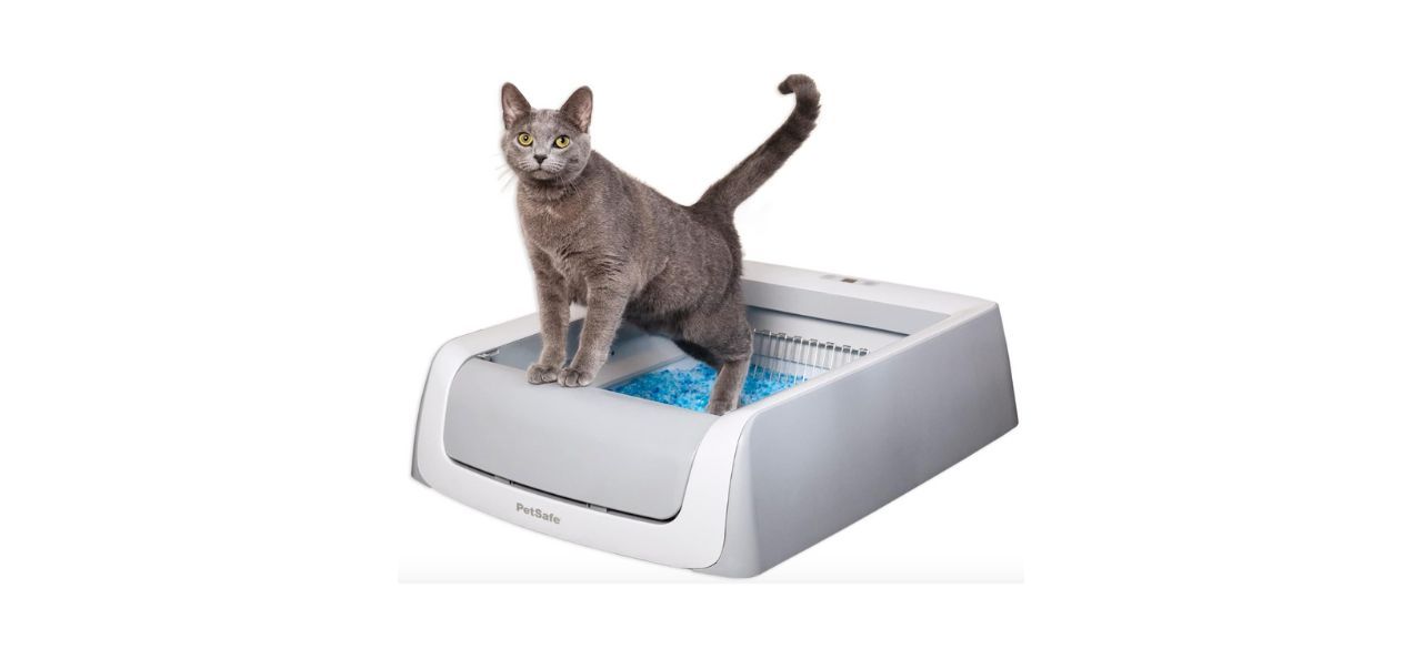 PetSafe ScoopFree Crystal Pro Self-Cleaning Cat Litter Box