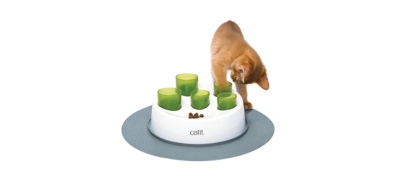 best Catit Senses 2.0 Digger Interactive Cat Toy