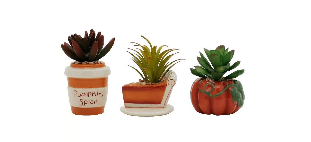 best Celebrate Together's Artificial Succulent Set