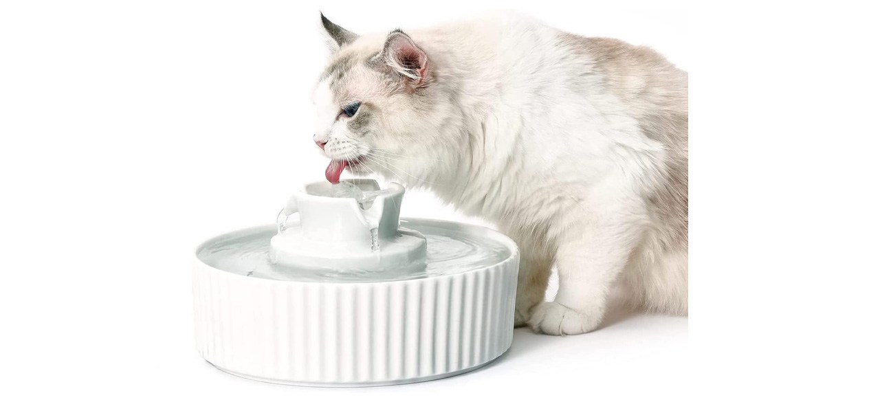Cepheus 360 Ceramic Pet Fountain