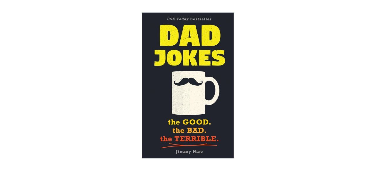 https://cdn.bestreviews.com/images/v4desktop/image-full-page-cb/best-cheap-white-elephant-gifts-dad-jokes-book-jimmy-niro.jpg