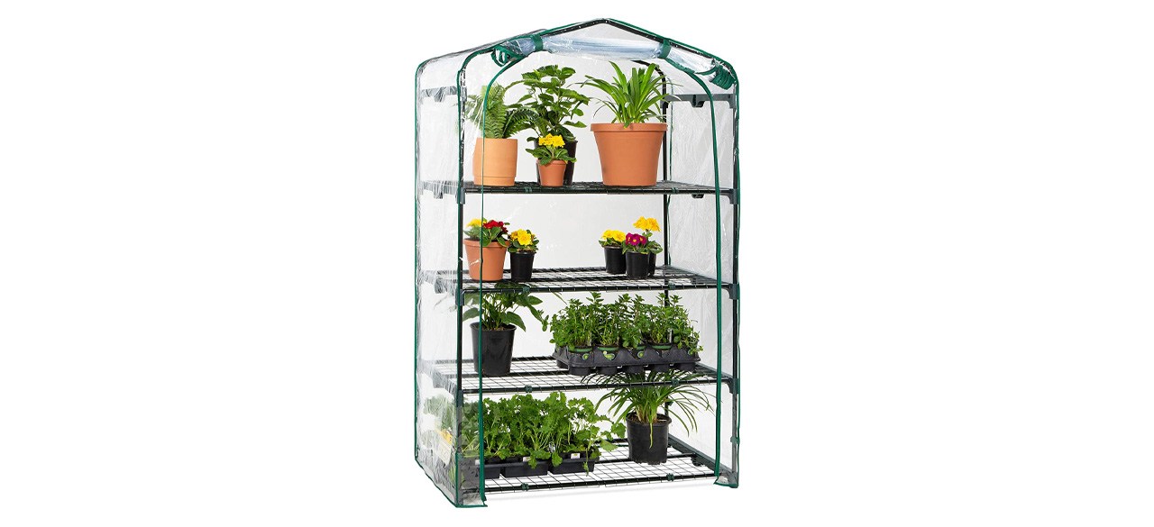 Best Choice Products Greenhouse