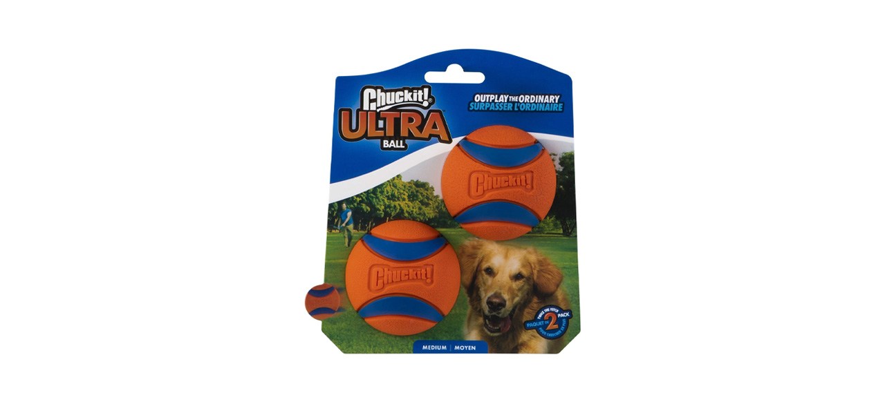 Best Chuckit! Ultra Rubber Ball Tough Dog Toy