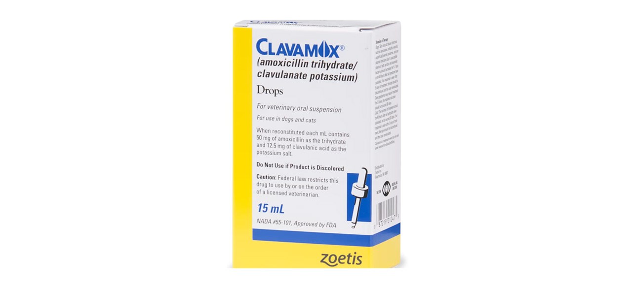 Best Clavamox (AmoxicillinClavulanate Potassium) Drops for Dogs and Cats