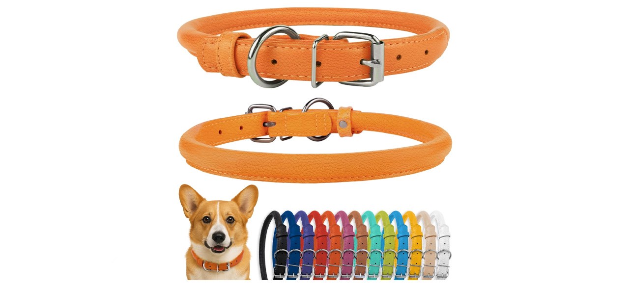CollarDirect Rolled Leather Dog Collar